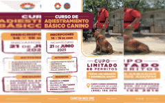 Convoca Bomberos a “Curso de Adiestramiento Canino” en Cancún