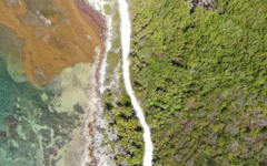Vive Quintana Roo fenómenos extremos