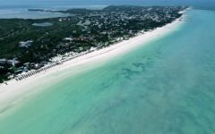 Holbox, libre de sargazo