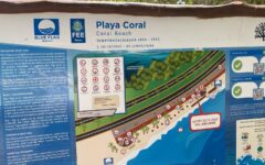 Gobierno de BJ redobla retiro de sargazo en Playa Coral
