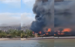 Incendio de gran magnitud moviliza a la comunidad de Holbox