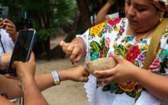 Realizan en Xel-Há ceremonia por la de la abeja melipona