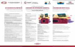 Gobierno municipal convoca a jóvenes cozumeleños a participar en el Concurso de Fotografía Ambiental 2025