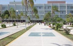 Realizará el IMSS jornada gratuita de densitometría
