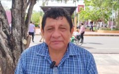 Caída de árboles representa riesgo en temporada de lluvias; Protección Civil llama a prevenir accidentes