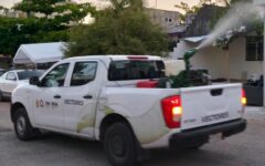 Atienden primer caso con síntomas de dengue