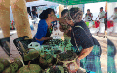 Celebran nueva edición del Tianguis Agroecológico Cultural en José María Morelos