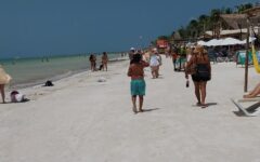 Playas de la isla Holbox están libres de sargazo