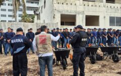 Realizan limpieza simultánea de sargazo en siete municipios de Quintana Roo: SEMA