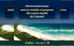Semarnat revisa autorización ambiental del cuarto muelle en Cozumel tras impugnación de vecinos