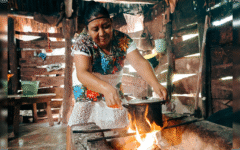 Quintana Roo y Airbnb colaboran para impulsar la diversificación turística del Caribe Mexicano: Sedetur