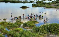 Invita la FPMC a vivir una experiencia de meditación y conexión con la naturaleza en Punta Sur