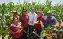 Gino Segura escucha a productores agrícolas de La Candelaria