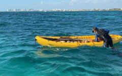 Sorprenden a pescador con caracol rosado y estrella de mar especies protegidas