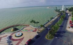 Impulsa tren de carga al Polo de Desarrollo