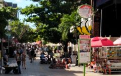 Fondo privado para la Quinta Avenida