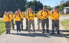 Disminuye la incidencia de incendios forestales