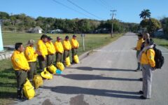 Disminuye la incidencia de incendios forestales