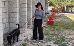 Adopción responsable en el Cencaaz