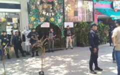 Catean Animalandia Maya por crueldad animal