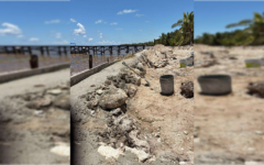 Denuncian presunto ecocidio