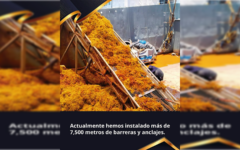 Retiran más de 28 mil toneladas de sargazo en Quintana Roo