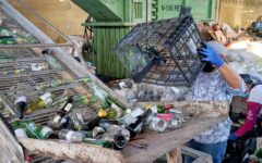 Cozumel fortalece reciclaje y manejo de residuos sólidos