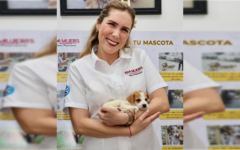 Dan atención digna a las mascotas: Atenea