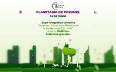 COQHCYT invita a jornadas por el cuidado del medio ambiente