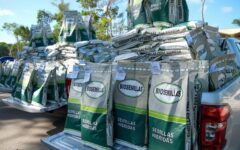 Fortalecen la seguridad alimentaria con entrega de semilla mejorada