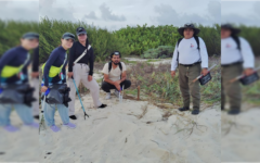 Registran 49 nidos de tortuga marina en Punta Sur, Cozumel