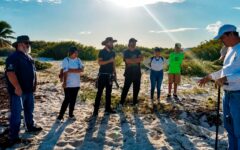 Registran 49 nidos en lo que va de la Temporada de Tortugas Marinas