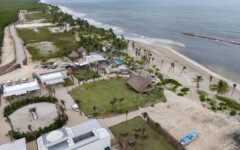 Denuncian un posible ecocidio