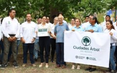 Cancún es reconocido como “Ciudad Árbol del Mundo”