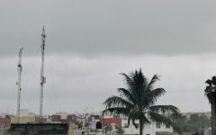 Clima inestable podría incrementar sargazo