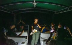 Experimentan el fascinante mundo nocturno de los cocodrilos