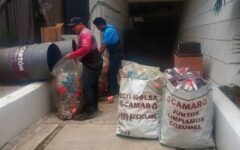 Transforma Gobierno de Cozumel lonas publicitarias en bolsas reutilizables para fortalecer el reciclaje