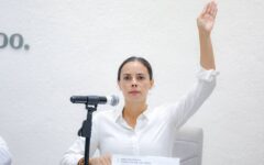 Ana Paty Peralta solicita licencia temporal por hasta 45 días