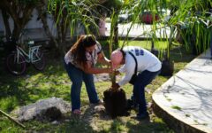 Mejoran áreas verdes con el programa ‘Juntos Sembramos Cozumel’
