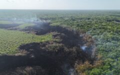 Incendio arrasa 1.5 hectáreas en Uxuxubi