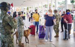 Prevén mayor flujo de pasajeros en muelle de Cozumel por vacaciones