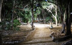 Renuevan iluminación del Parque Aurora para reforzar seguridad en la SM 44