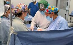 IMSS Quintana Roo realiza segunda procuración multiorgánica del año