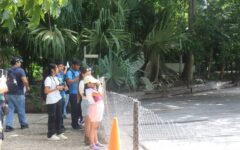 Impulsa Quintana Roo estrategia “Tras las Alas de la Biodiversidad”