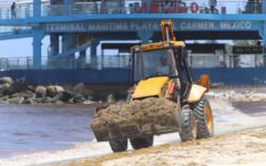 Quintana Roo supera las 83 mil toneladas de sargazo recolectadas