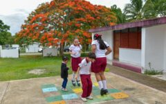 Disminuye rezago educativo en nivel básico de Quintana Roo