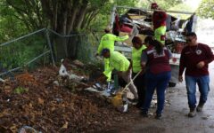 Retiran 97 toneladas de basura de un predio en la SM 200 de Cancún