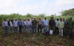 Refuerza Quintana Roo al sector cañero con inversión de 6 mdp
