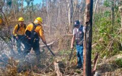 Brigadistas contienen incendio forestal en la colonia Chiapaneca