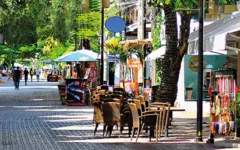 Blindan la Quinta avenida
